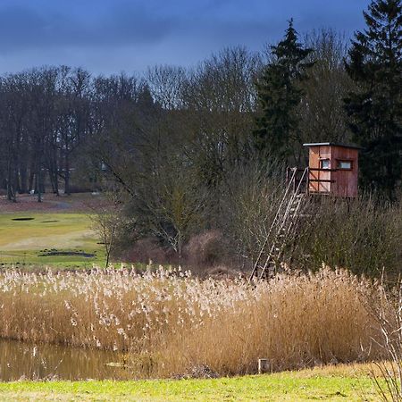 Tiny House Fleesensee Mit Eigenem Garten Und Nur Wenige Meter Vom Seeufer Göhren-Lebbin Exterior foto